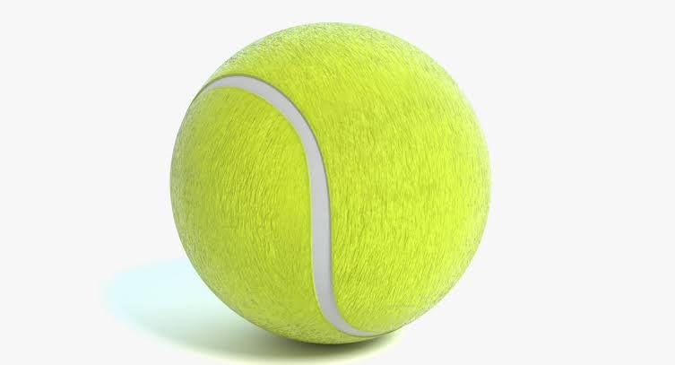 HAS Cricket Kit with Wooden Bat, Plastic Stumps and Ball for Kids  (3-7 Year )